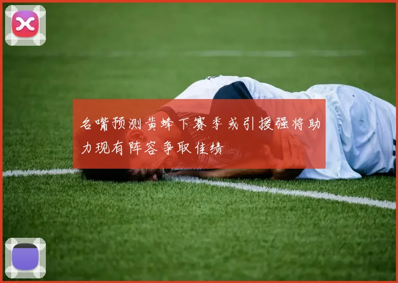 名嘴预测黄蜂下赛季或引援强将助力现有阵容争取佳绩